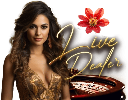 In the Live Dealer lounge!